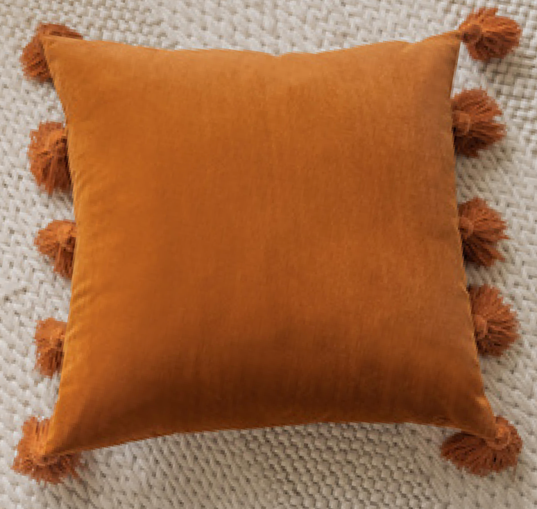 Tassel Delight Velvet Cushion Collection